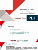 Evaluaciones de Riesgo PDF