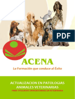 Actualización en Patologías Animales Veterinarias para Titulados Universitarios en Veterinaria