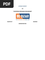 Download Big Bazaar- Location Strategy by Priti Kumari SN53719773 doc pdf