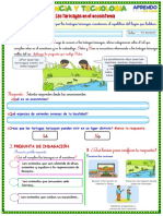 Importancia de las tortugas taricayas para el ecosistema