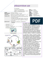 Cryptosporidium SPP Resumen