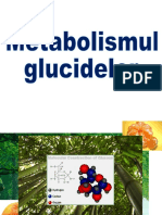 glucide_1-50608 (1)