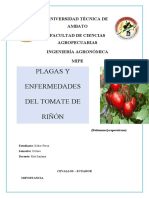 Enfermedades Tomate