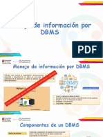 DBMS: Control y gestión de datos