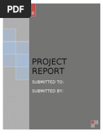 Entrepreneurship Project Report