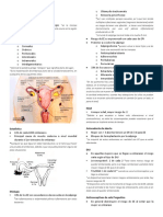 Tema 5. EMBARAZO ECTOPICO DR Canseco