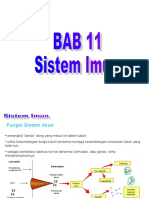 Bab 11 (Sistem Imun)