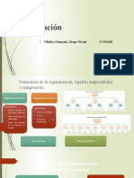 Naturaleza de La Organización, Espíritu Emprendedor