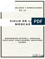 CICLO DE LAS MOSCAS (1)