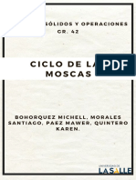 Ciclo de Las Moscas