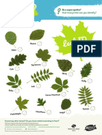 Leaf Id Sheet