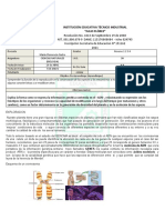 Guia 4 Biologia 2021 Corregida