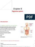 Digestive System