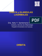 Tema 04 - Órbita y Glándulas Lagrimales (Clase)