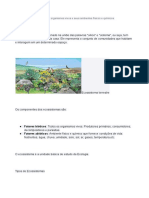 Ecossistema É o Conjunto Dos Organismos Vivos e Seus Ambientes Físicos e Químicos