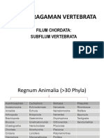 CHORDATA 1revisi