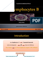 Immuno31 Lymph B