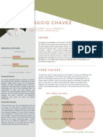 Professional Persona Executive Summary - Viaggio Chavez