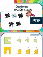 Completo Cuaderno de Percepción Visual