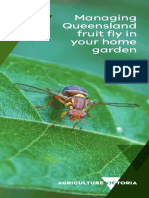 Managing Queensland Fruit Fly in Your Home Garden