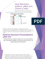 Sistema-Nervioso-Parasimpático-1