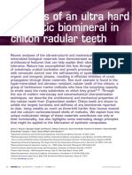 Analysis of An Ultra Hard Magnetic Biomineral in Chiton Radular Teeth