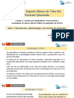 Unidad I TEMA 1 Importancia de Las Quemaduras y Su Prevención en La Población Dra Pilar Huby