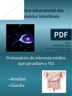 Aula 5 Protozoários Intestinais (Giardia + Ameba)