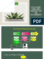 Ciclo de Vida Del Proyecto DE Inversión