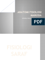 Anatomi Fisiologi Manusia 4