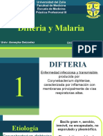 Difteria y malaria: enfermedades infecciosas transmitidas por vectores