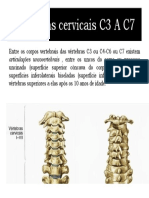 3.1 Processos Uncinados Das Vértebras Cervicais