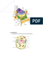 Sel Hewan Dan Tumbuhan