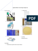 Tugas 1 - Mikrobiologi Analitik - Novia Rahmawati