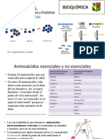 Metabolismo Aminoácidos y Ciclo de Urea