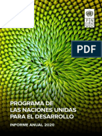 Informe Anual 2020-Pnud