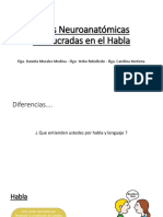 Bases Neuroanatomicas Involucradas en El Habla