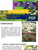 La Flor de Margarita Presentacion de Trabajo