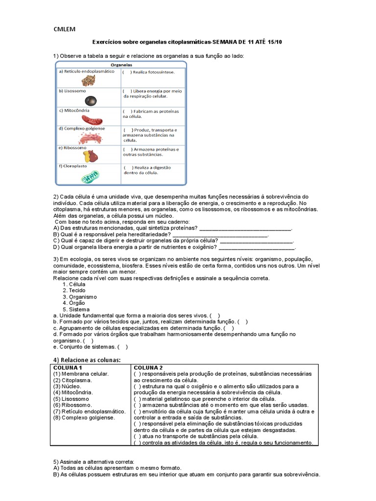 Exercícios sobre Organelas Celulares | PDF | Célula (Biologia) | Organelo