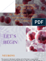 Specialized Cells in The Human Body