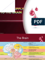 Vascular Supply To The Brain