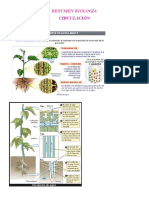 RESUMEN BIOLOGÍA, Circulación