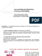 Materi PIR - Prof. Dr. Dr. Hening Laswati, SP - KFR-K - The Evidence and Molecular Mechanism of Pulmonary Function