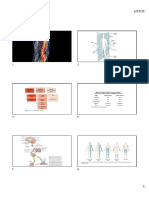 PDF 5. Neuroanatomy-Min