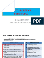 Audit Maternal Perinatal