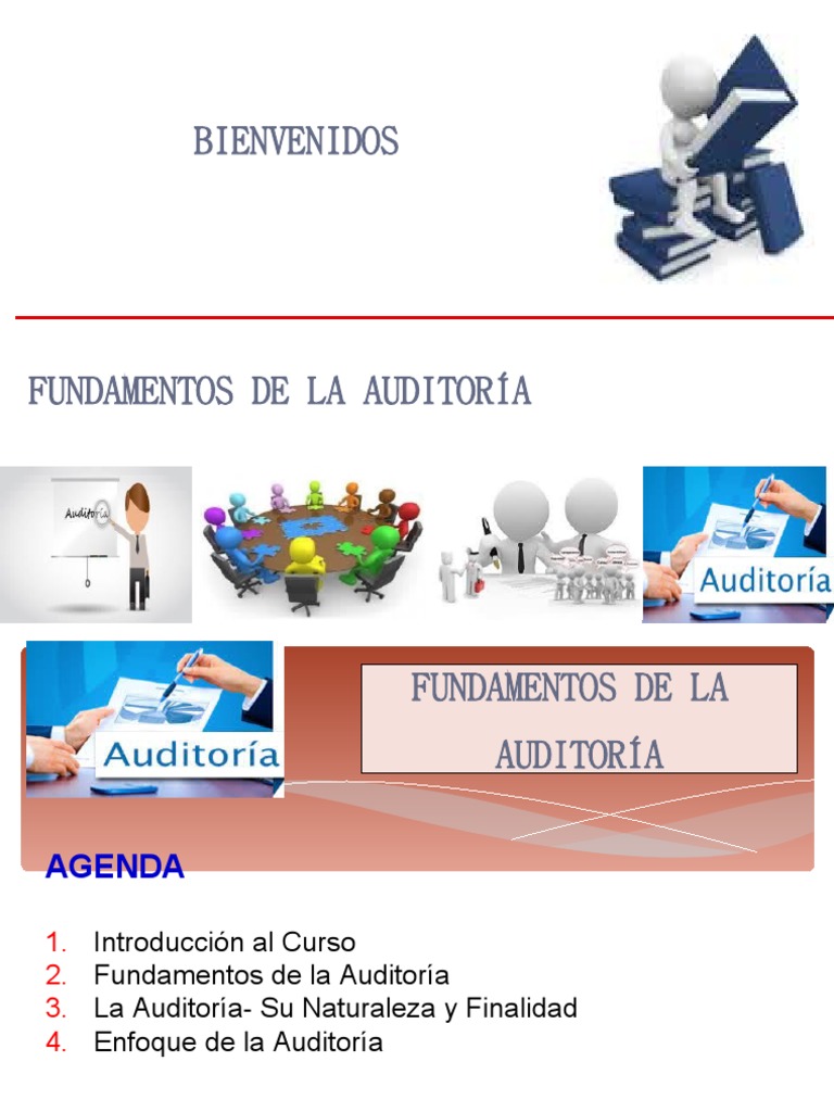 Fundamentos De Auditoria Pdf Auditoría Contralor