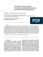 Influence of Feeding Level on Growth of European Catfish