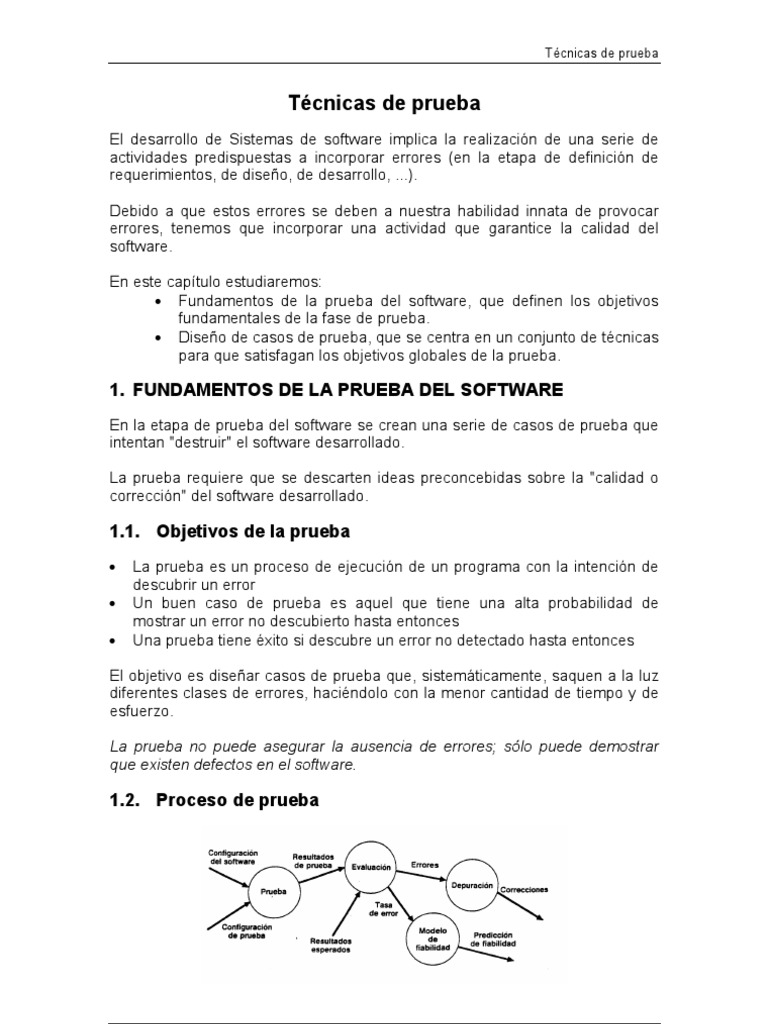 Prueba Caja Blanca Caja Negra Software Computer Program