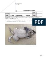 Lab Act 5 - External Features of Frog