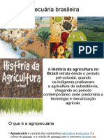 Agropecuária Brasileira Geografia 3 2021